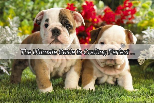 The Ultimate Guide to Crafting Perfect Dog Rice A WhiskerWagging Feast for Your Furry Friend